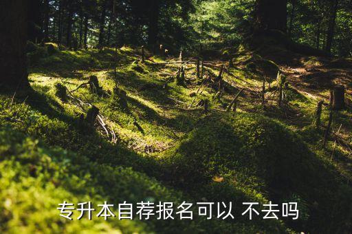  專升本自薦報名可以 不去嗎