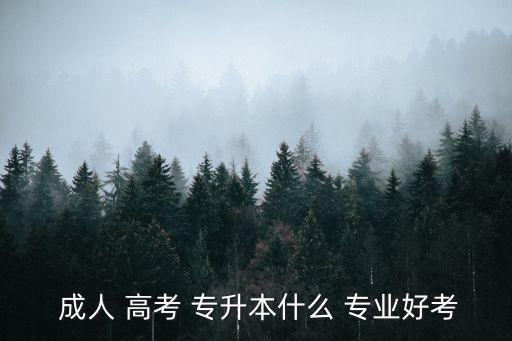  成人 高考 專升本什么 專業(yè)好考