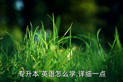  專升本 英語怎么學(xué),詳細(xì)一點(diǎn)