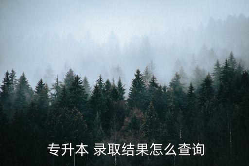  專升本 錄取結(jié)果怎么查詢