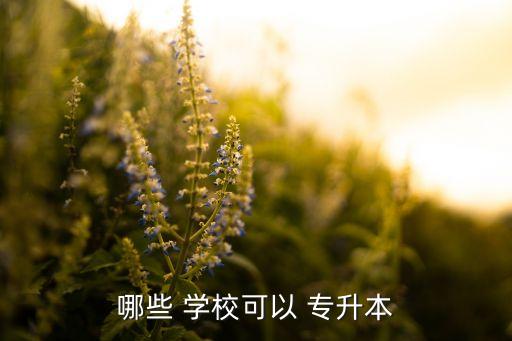 廣州可以專升本大學有哪些專業(yè)學校,專升本大學有很多!