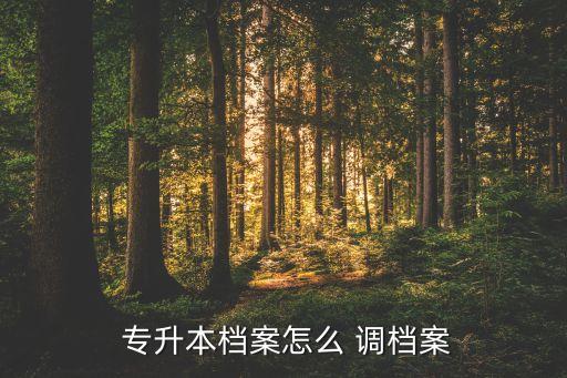  專升本檔案怎么 調(diào)檔案