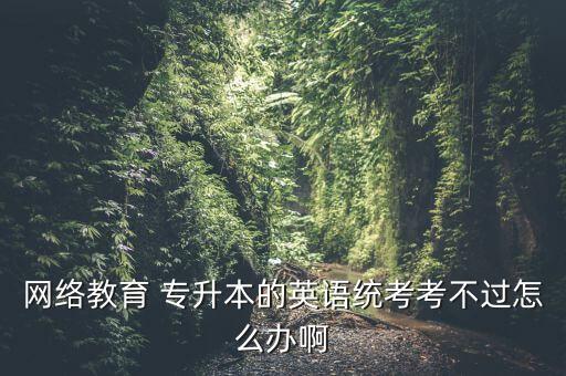 網(wǎng)絡教育 專升本的英語統(tǒng)考考不過怎么辦啊