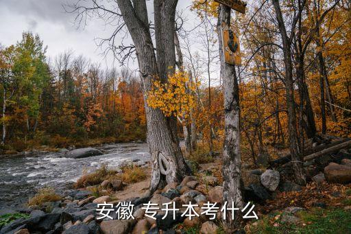 安徽專升本語(yǔ)文和數(shù)學(xué),安徽專升本考試招生辦法已公布