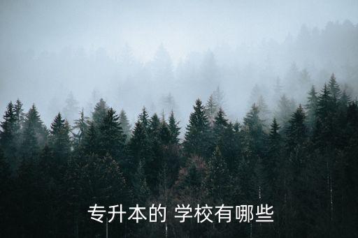  專升本的 學校有哪些