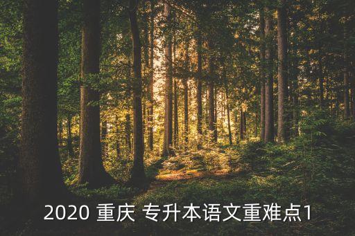 2020 重慶 專升本語文重難點1