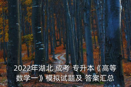 2022年湖北 成考 專升本《高等數(shù)學(xué)一》模擬試題及 答案匯總