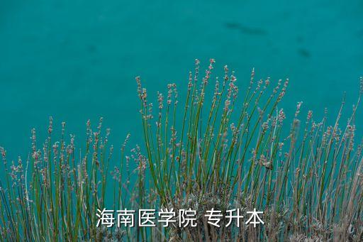 海口工程大學(xué)專升本,上海高等學(xué)府網(wǎng)上報名參加復(fù)函考試