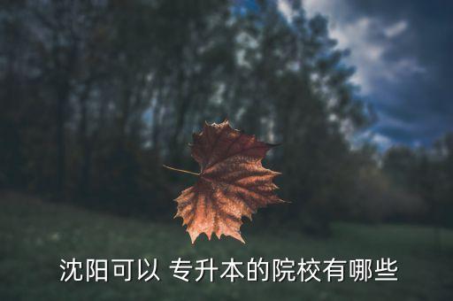 2017年沈陽專升本,四大名校四級論文從何而來?