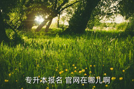  專升本報(bào)名 官網(wǎng)在哪兒啊