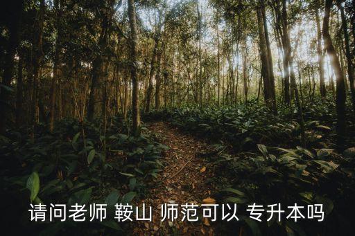 請問老師 鞍山 師范可以 專升本嗎