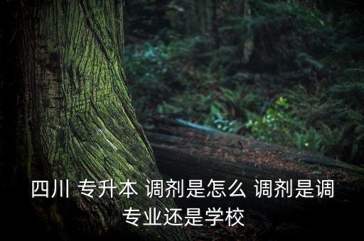 四川 專升本 調劑是怎么 調劑是調 專業(yè)還是學校