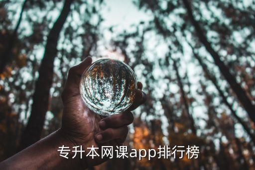  專升本網(wǎng)課app排行榜