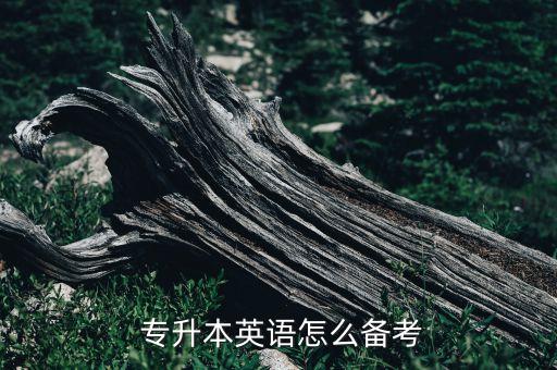  專升本英語(yǔ)怎么備考