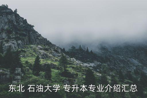 東北 石油大學(xué) 專升本專業(yè)介紹匯總