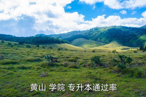 黃山學院專升本計劃,黃山學院專升本已發(fā)布專業(yè)介紹概要