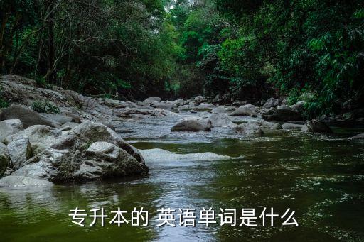  專升本的 英語(yǔ)單詞是什么