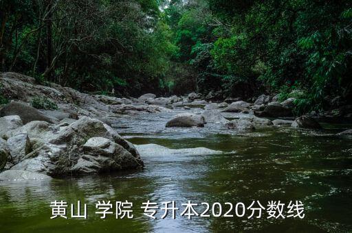  黃山 學(xué)院 專升本2020分?jǐn)?shù)線