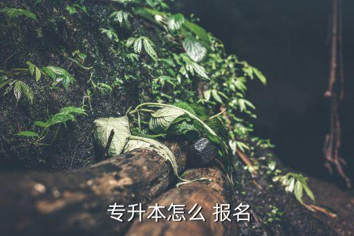  專升本怎么 報(bào)名