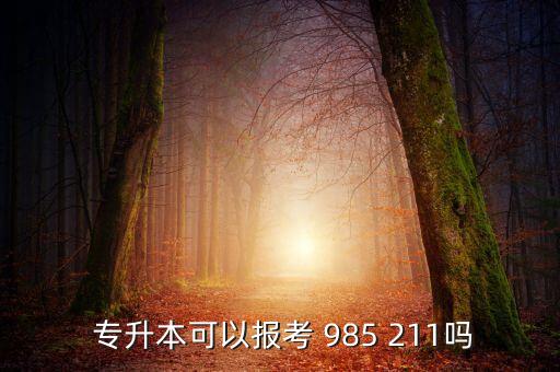 985 211取消專(zhuān)升本,211工科院校停止招收普通專(zhuān)升本