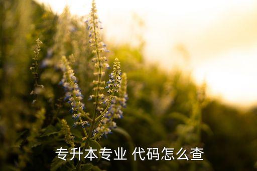  專升本專業(yè) 代碼怎么查