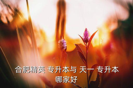  合肥精英 專升本與 天一 專升本哪家好