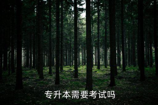 專升本還考語(yǔ)文嗎,專升本考試科目不一樣具體如下