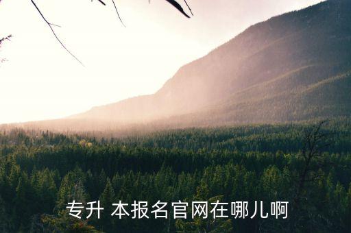 南昌專升本報名網(wǎng)站,專升學(xué)生報名網(wǎng)站新增兩個學(xué)生社區(qū)網(wǎng)站