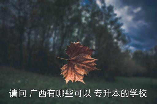 請問 廣西有哪些可以 專升本的學校