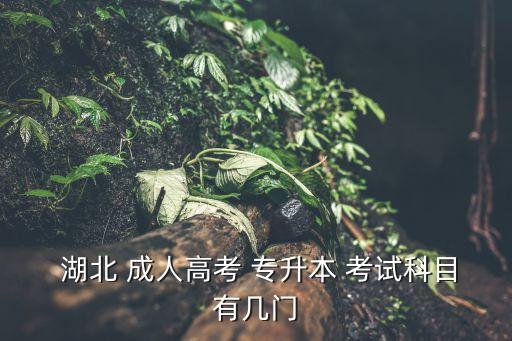 湖北成人專升本考試試題,湖北成人高考考生入口考試考什么?