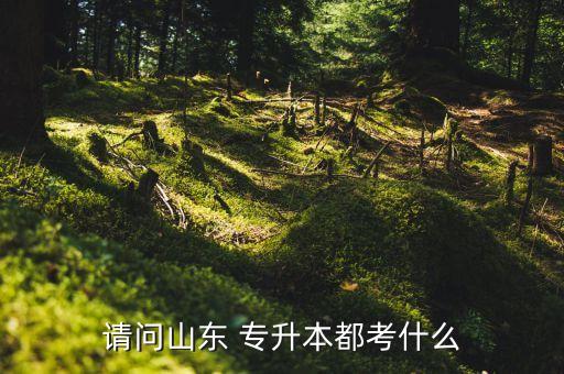 請問山東 專升本都考什么