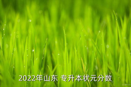 山東省專升本國貿(mào)分數(shù)線,山東2022年專升本狀元390分