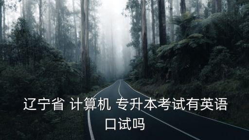 遼寧省專升本計算機,遼寧師范大學(xué):專升本沒有口試