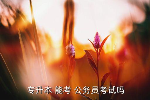 專升本以后能考公務(wù)員嗎,能考公務(wù)員嗎?能報名參加考試嗎?