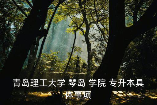 琴島學院2016專升本,我和你一樣希望被選擇