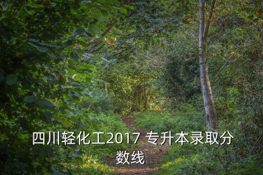 2017四川成考專升本,成人高等學府學習計劃