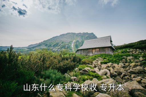  山東什么?？茖W(xué)校收 專升本