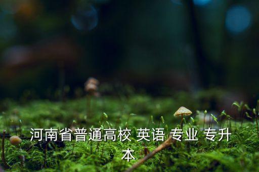  河南省普通高校 英語 專業(yè) 專升本