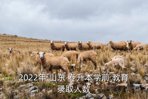 2022年 山東 專升本學(xué)前 教育錄取人數(shù)