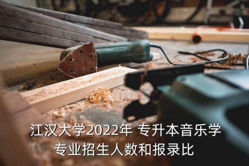  江漢大學(xué)2022年 專升本音樂學(xué)專業(yè)招生人數(shù)和報(bào)錄比