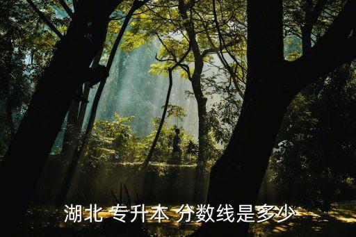  湖北 專升本 分?jǐn)?shù)線是多少