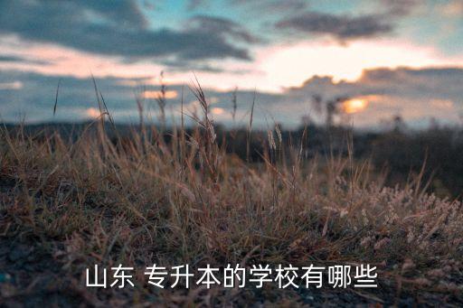 濱州學(xué)院專升本時間,齊魯醫(yī)學(xué)院等院校的專升本計劃