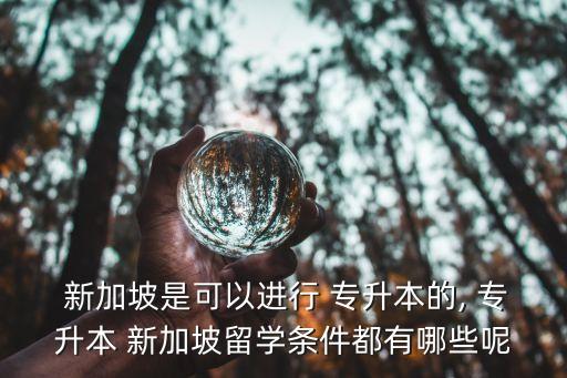  新加坡是可以進行 專升本的, 專升本 新加坡留學(xué)條件都有哪些呢