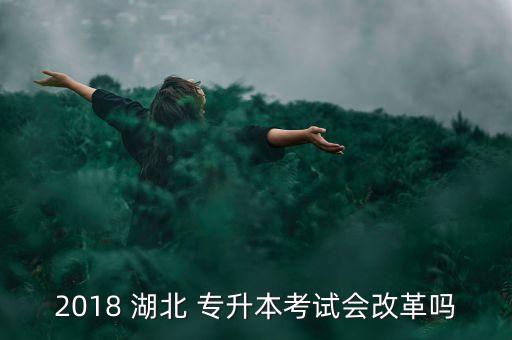 2018 湖北 專升本考試會改革嗎