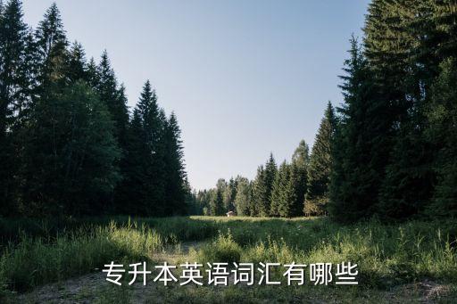 專升本形容詞練習(xí),專升本英語詞匯:特殊和獨一無二