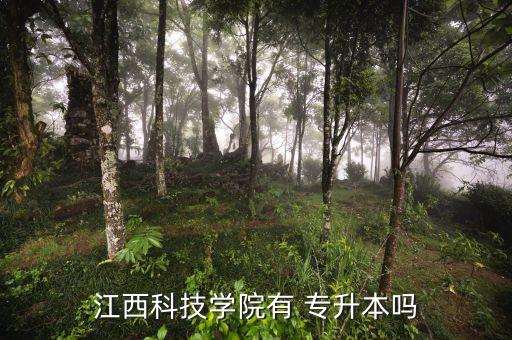 江西省的專升本學(xué)校,部分高校對(duì)專升本學(xué)生有一定的要求