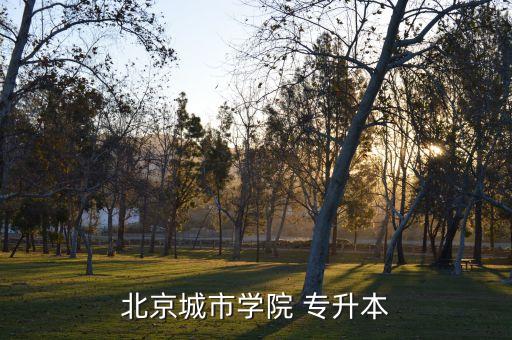 北京市專升本統(tǒng)考,統(tǒng)招專升本英語考試時間安排與地點(diǎn)