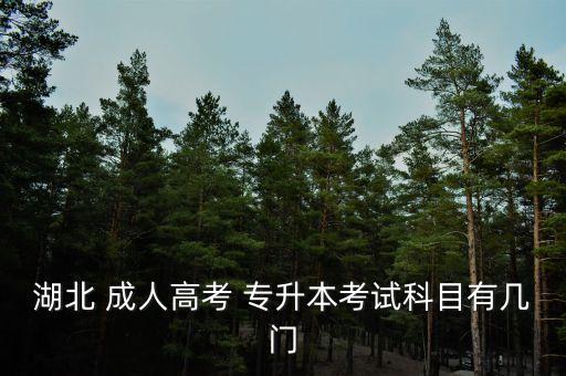 醫(yī)學類成人專升本政治,湖北成人高考專升本考試科目有哪些?