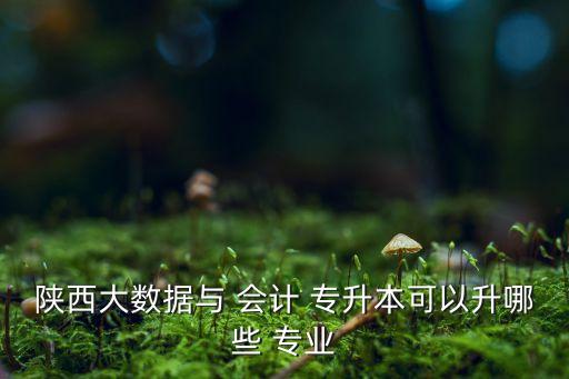 會計專升本可以報什么專業(yè)好,高等學府就業(yè)指導報到