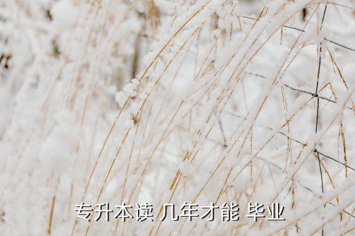 專升本一般幾年畢業(yè),統(tǒng)招專升本需要兩年時(shí)間嗎?